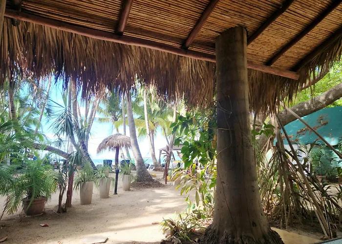 Hotel La Palapa